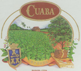 Cuaba's Avatar